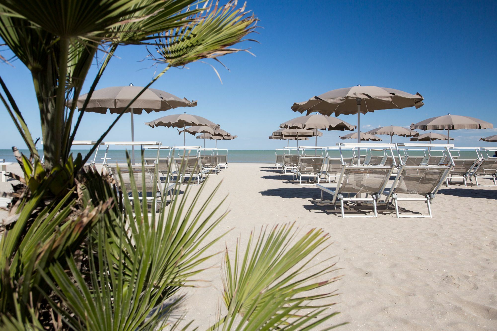Hotel Solemare Milano Marittima Ngoại thất bức ảnh